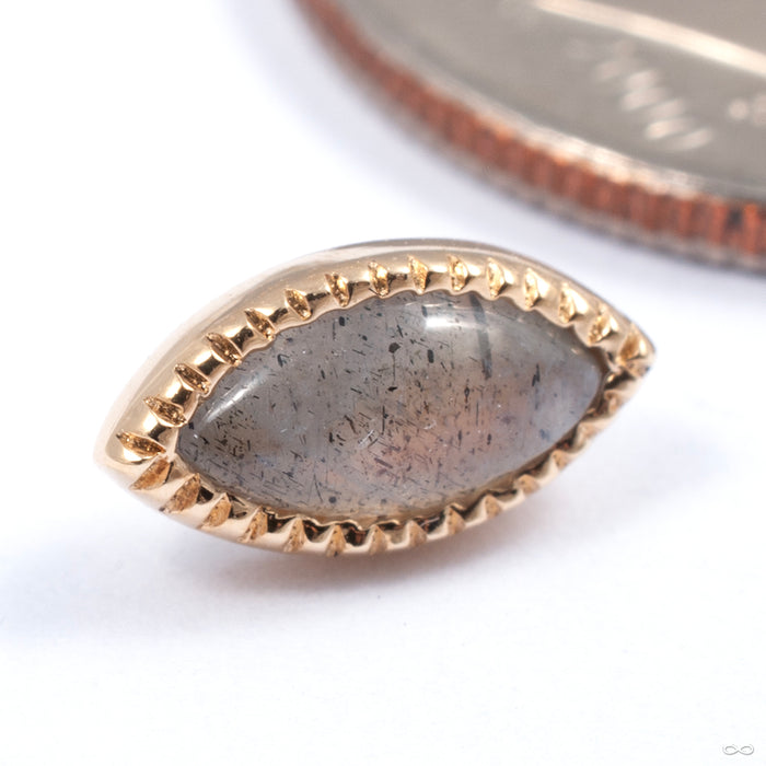 Grizant Leaf Cabochon Press-fit End in Gold from Auris Jewellery in yellow gold with labradorite