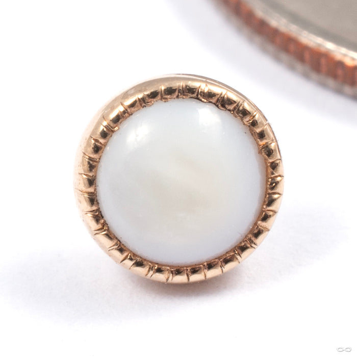 Grizant Cabochon Press-fit End in Gold from Auris Jewellery in yellow gold with freshwater pearl