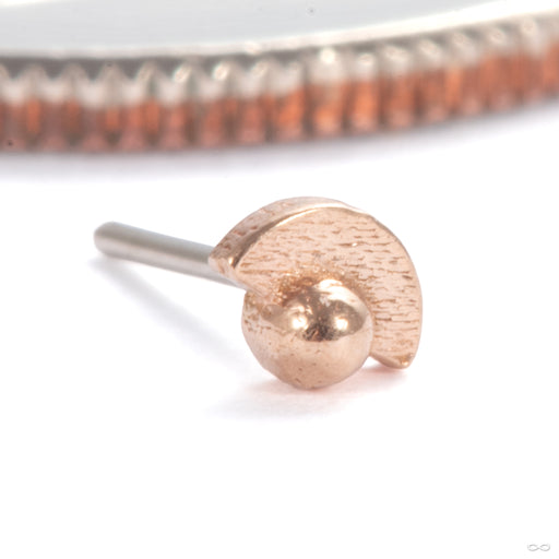 Half Full with Dottie Press-fit End in 14k Rose Gold from Pupil Hall