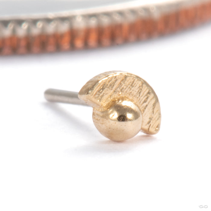 Half Full with Dottie Press-fit End in 14k Yellow Gold from Pupil Hall