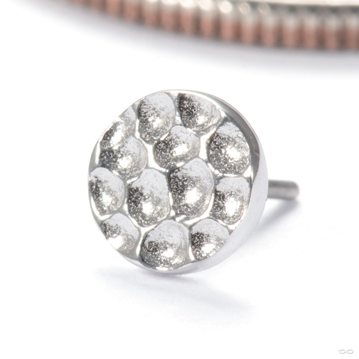 Hammered Disk Press-fit End in 14k White Gold 4mm from Junipurr Jewelry