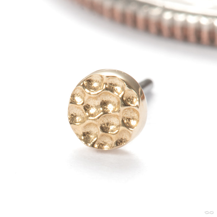 Hammered Disk Press-fit End in 14k Yellow Gold 2.5mm from Junipurr Jewelry