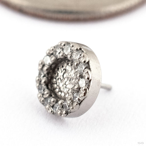 Hammered Ultimate Press-fit End in 14k White Gold with Diamond from Seasons Handmade