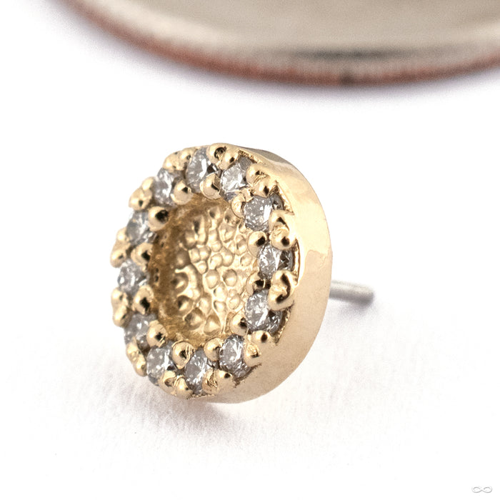 Hammered Ultimate Press-fit End in 14k Yellow Gold with Diamond from Seasons Handmade