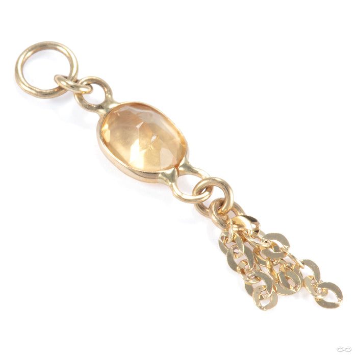 He and Me Charm in 14k Yellow Gold with Citrine from Hialeah