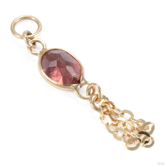 He and Me Charm in 14k Yellow Gold with Garnet from Hialeah