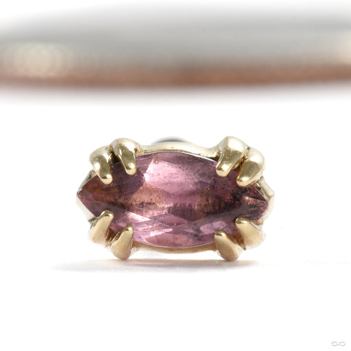 Held Press-fit End in Gold from Sacred Symbols with amethyst