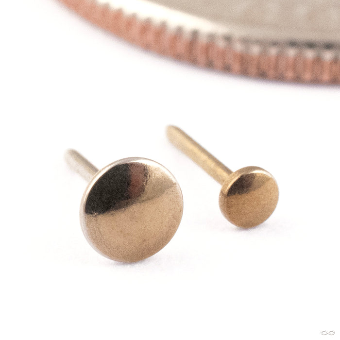 High Polish Disk Press-fit End in Titanium from NeoMetal in bronze