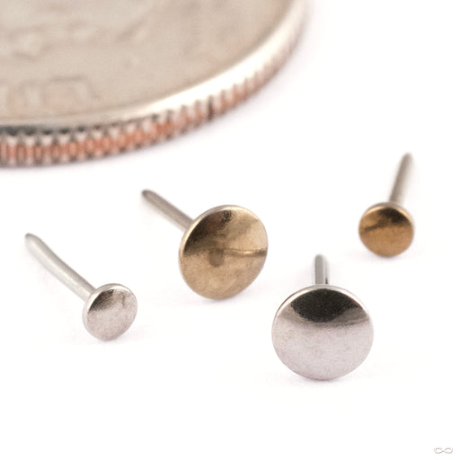 High Polish Disk Press-fit End in Titanium from NeoMetal in gray and bronze