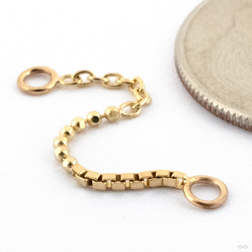 Hodgepodge Lynx Chain in 14k Yellow Gold from Pupil Hall detail photo