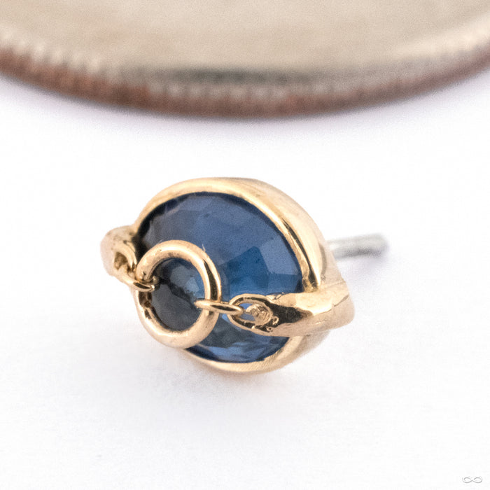 How Dare You Oval Press-fit End in Gold from Pupil Hall in 14k Yellow Gold with Blue Sapphire