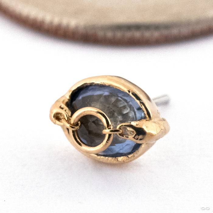 How Dare You Oval Press-fit End in Gold from Pupil Hall in 14k Yellow Gold with Tanzanite