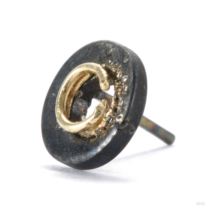 Inner Circle Fusion Press-fit End from Black Forest Jewelry in black niobium & 14k yellow gold