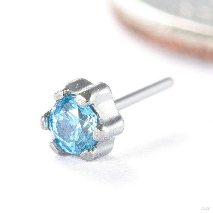 Iris Press-fit End in Titanium from Tawapa in high polish aquamarine 2mm