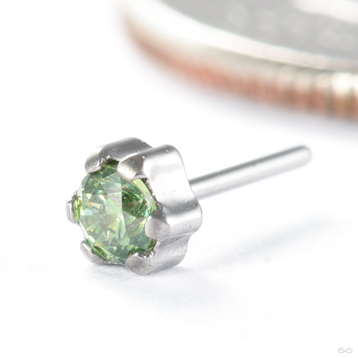 Iris Press-fit End in Titanium from Tawapa in high polish peridot 2mm