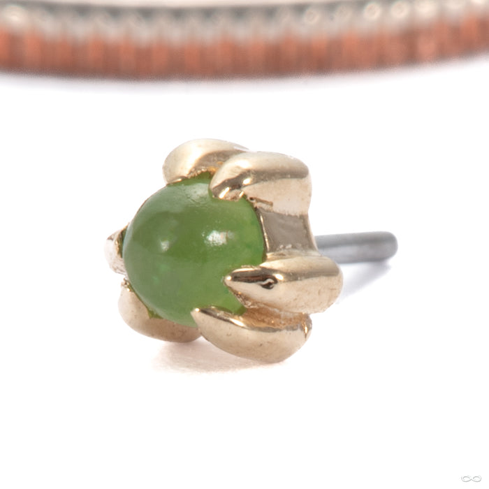 Iris Press-Fit End in 14k Yellow Gold with Jade Small from Tawapa