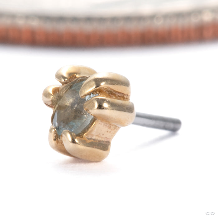 Iris Press-Fit End in 14k Yellow Gold with Aquamarine Small from Tawapa