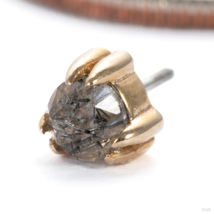 Iris Press-Fit End in 14k Yellow Gold with Tourmalated Quartz Medium from Tawapa