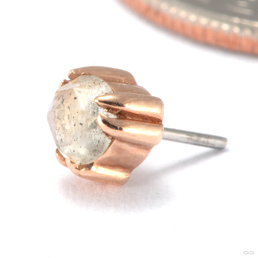 Iris Press-Fit End in Gold from Tawapa in rose gold with labradorite