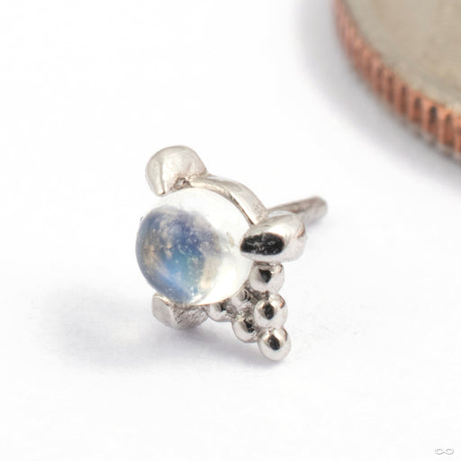 Jolene Press-Fit End in Gold from Tawapa in white gold with moonstone