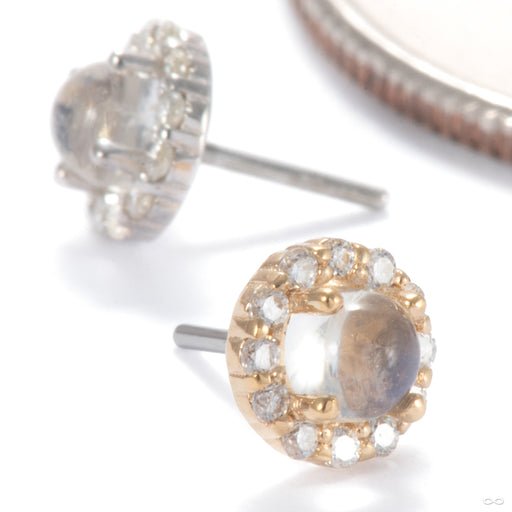 Joy Press-fit End in Gold from Ember Body Jewelry