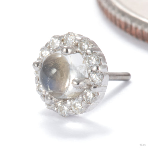 Joy Press-fit End in 14k White Gold with Blue Moonstone & Moissanite from Ember Body Jewelry