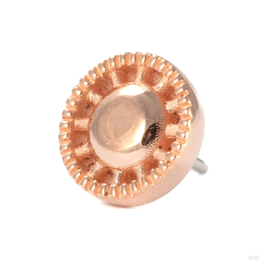 Kappa 12 Press-fit End in 14k Rose Gold from Tether Jewelry
