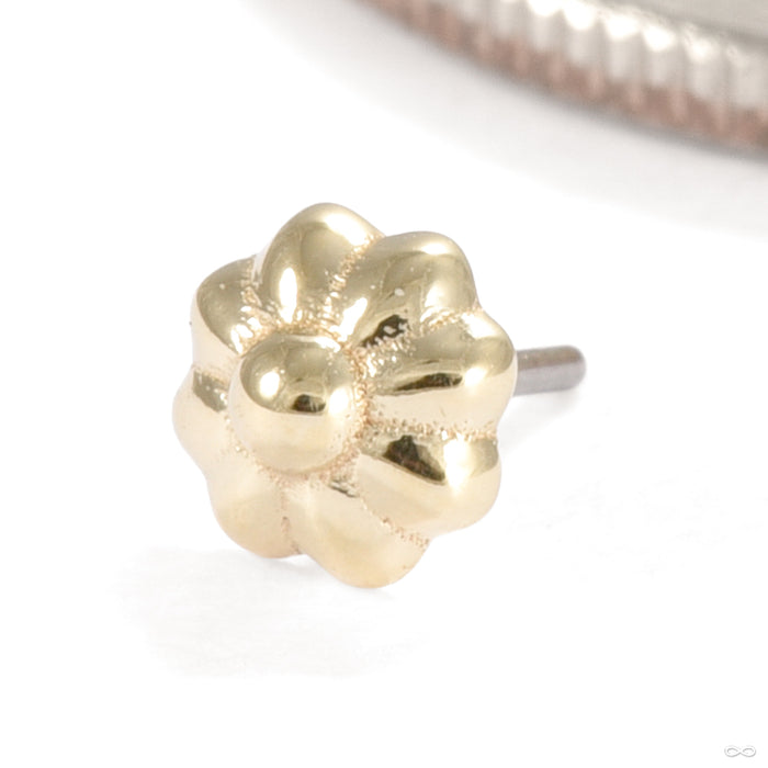 Kethona Press-fit End in Gold from Seasons Handmade in yellow gold
