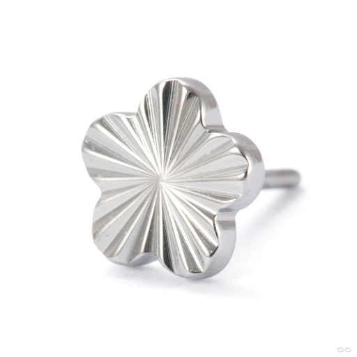 Laser Blossom Press-fit End in Titanium from Junipurr Jewelry