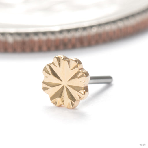 Laser Blossom Press-fit End in 14k Yellow Gold 3mm from Junipurr Jewelry