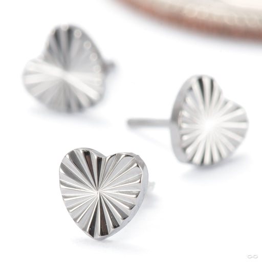 Laser Heart Press-fit End in Titanium from Junipurr Jewelry group photo