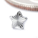 Laser Star Press-fit End in Titanium from Junipurr Jewelry