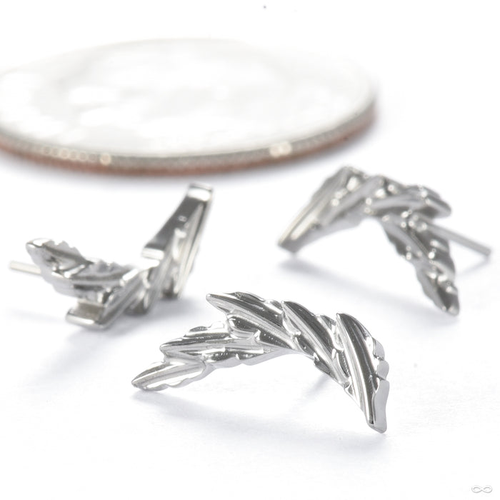 Laurel Press-fit End in Titanium from Tawapa in a group