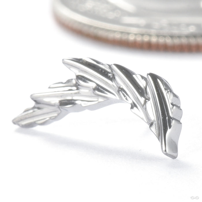 Laurel Press-fit End in Titanium from Tawapa right orientation