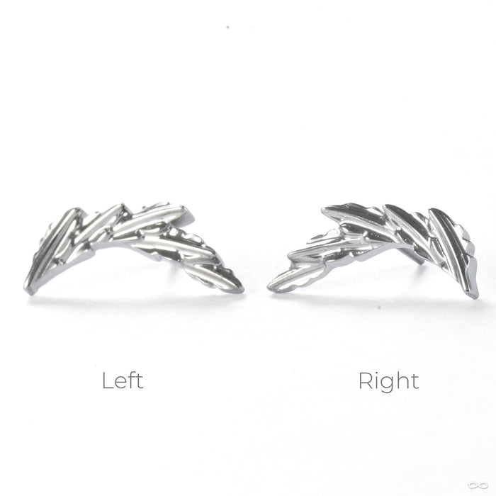Laurel Press-fit End in Titanium from Tawapa orientation detail