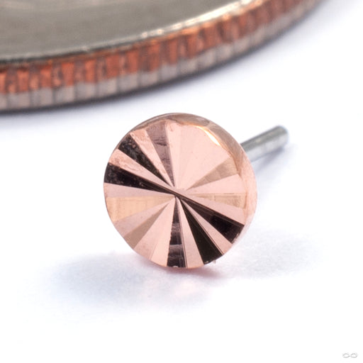 Lazer Disk Press-fit End in Gold from Buddha Jewelry in rose gold