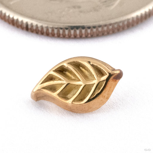 Leaf Threaded End in 15k Yellow Gold from Kiwii Jewelry