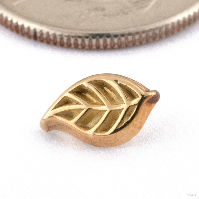 Leaf Threaded End in 15k Yellow Gold from Kiwii Jewelry