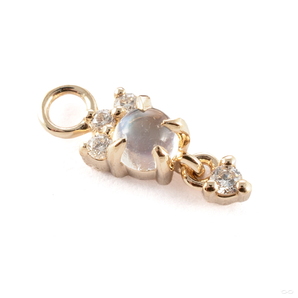 Leia Charm Drop Earrings main image 1