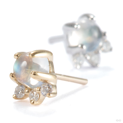 Leia Press-fit End in Gold from Modern Mood in assorted materials