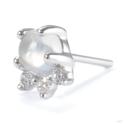 Leia Press-fit End in 14k White Gold with Moonstone & Diamond from Modern Mood