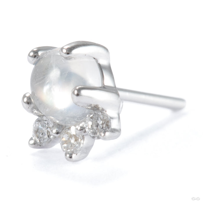 Leia Press-fit End in 14k White Gold with Moonstone & Diamond from Modern Mood