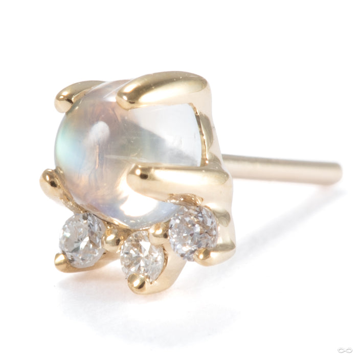 Leia Press-fit End in 14k Yellow Gold with Moonstone & Diamond from Modern Mood