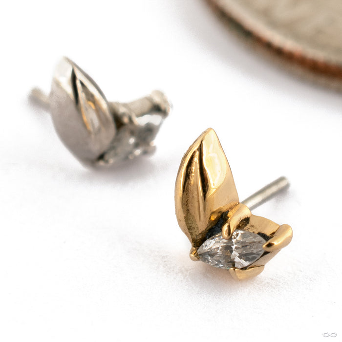 Little Bud Press-fit End in Gold from Maya Jewelry Group