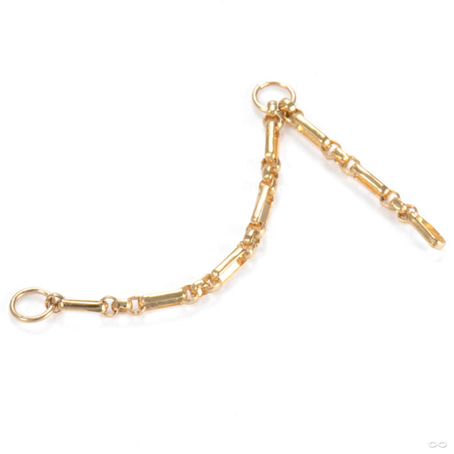 Long and Short Chain in 14k Yellow Gold from Hialeah