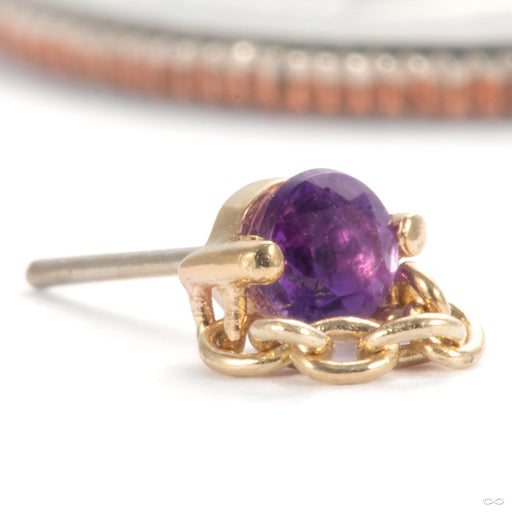Luh You Press-fit End in 14k Yellow Gold with Amethyst from Pupil Hall