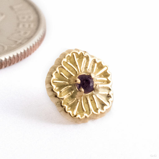Marigold Press-fit End in 15k Yellow Gold with Amethyst from Kiwii Jewelry