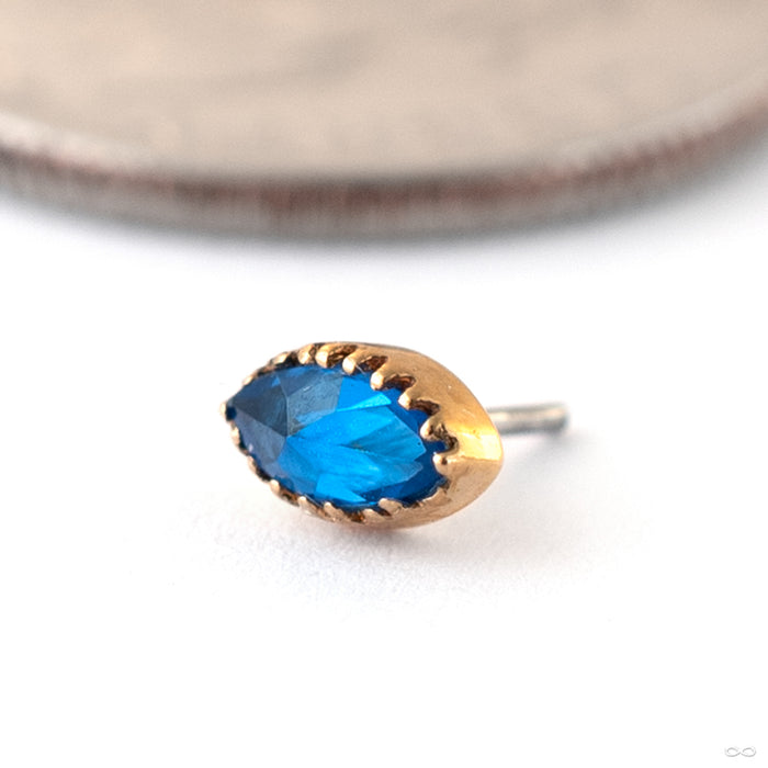 Marquis Scalloped Press-fit End in 14k Yellow Gold with Blue CZ from Tawapa