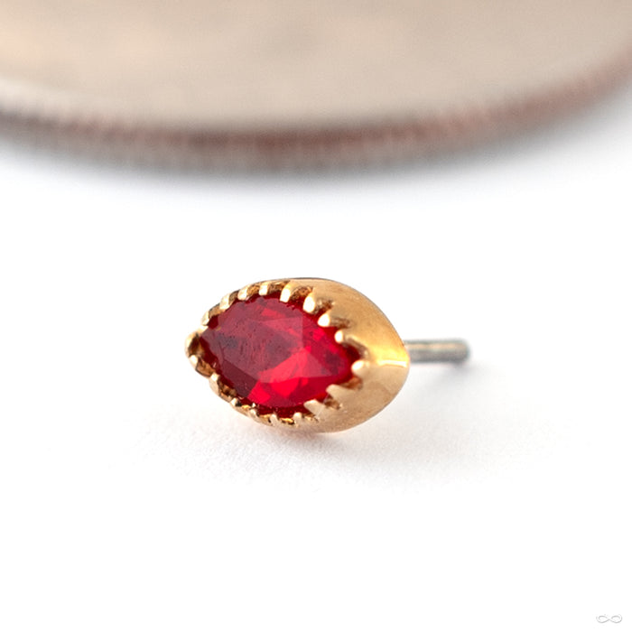 Marquis Scalloped Press-fit End in 14k Yellow Gold with Red CZ from Tawapa