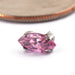 Marquise-cut Prong-set Gem Press-fit End in Titanium in Pink from Canasteel Jewelry